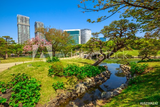 Bild på Hamarikyu Gardens Tokyo Sumida River Chuo district Japan Oriental japanese garden during Hanami The Hama Rikyu is in contrast to the skyscrapers of the adjacent Shiodome district